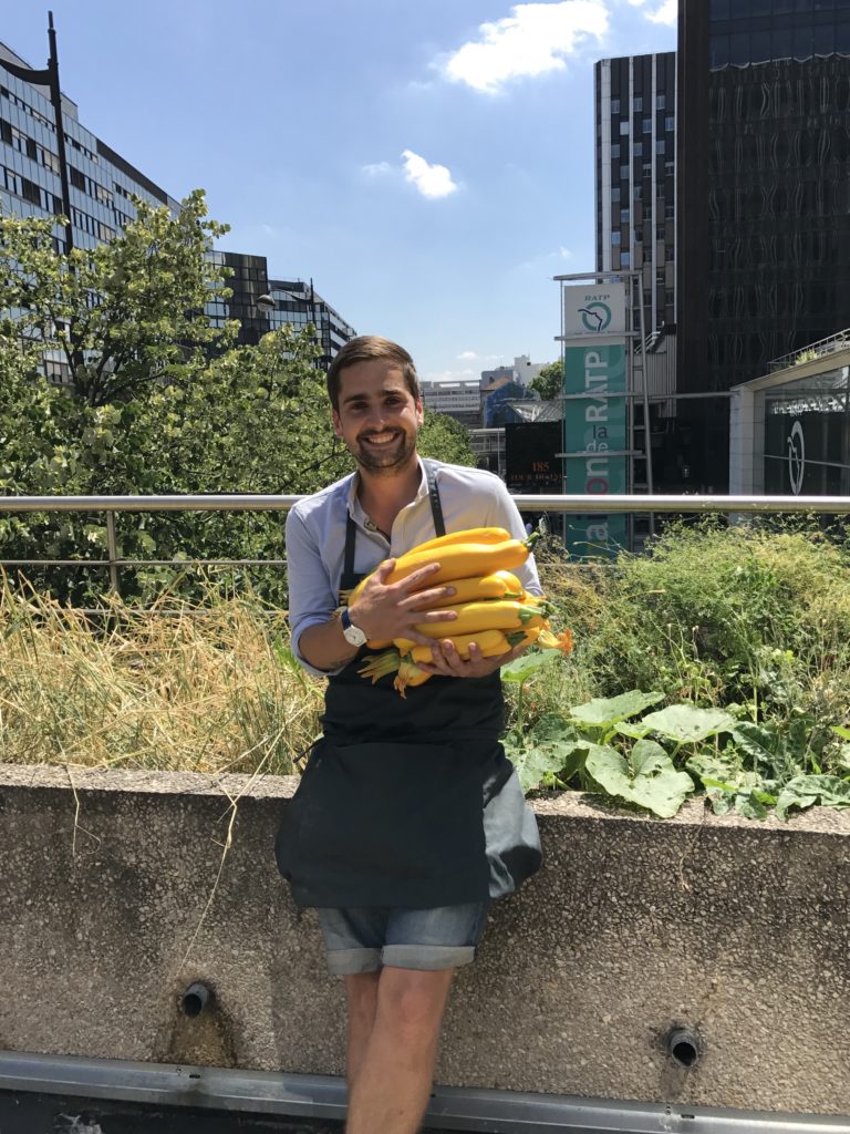 Animation de jardin pédagogiques partagés, ateliers nature et biodiversité, ateliers écologiques, potager urbain agriculture urbaine, installation et entretien de jardins comestibles en Ille-et-Vilaine 35 et Mayenne 53