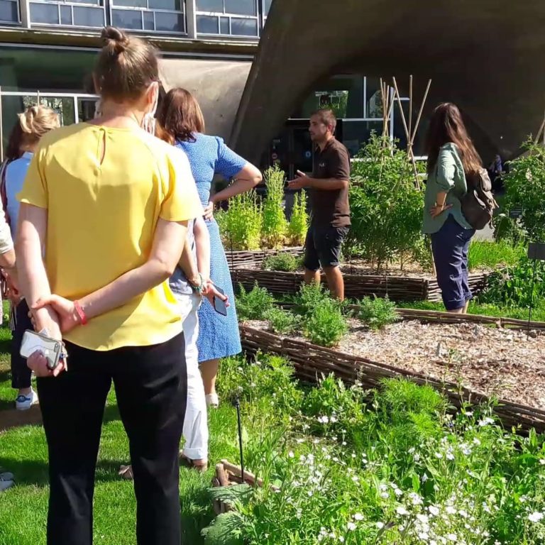 Atelier écologique participatif pour entreprise, sensibilisation au développement durable.