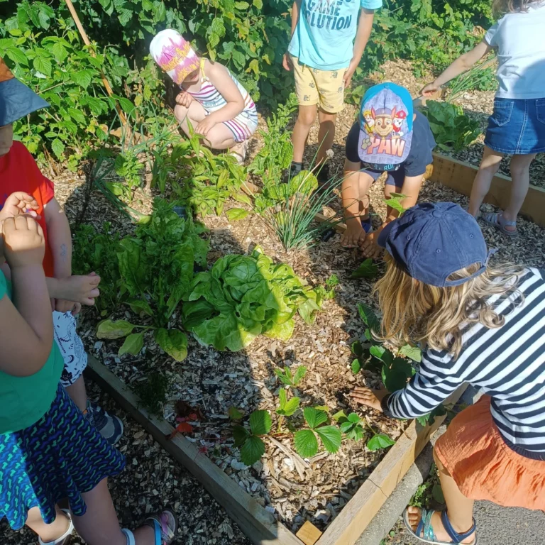 Jardin pédagogique, Jardinage au naturel, Animation biodiversité, Atelier jardinage, éducation à l’environnement Rennes ille-et-vilaine, comment créer un jardin pédagogique à l’école Mayenne, Animation nature pour enfants en milieu scolaire, atelier jardinage Jardins pédagogiques & animations nature