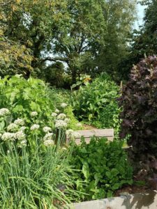 Jardinière bois sur mesure, jardin comestible, jardinage écologique, biodiversité, aromatiques rares, fleurs comestibles, récoltes de chefs, frais, local de saison, jardin potager pour restaurant, potager du chef, fleurs comestibles restaurant, aromatiques rares pour cuisine, entretien potager restaurant, potager terrasse restaurant, installation jardin comestible cuisine, jardin d’inspiration pour chef cuisinier