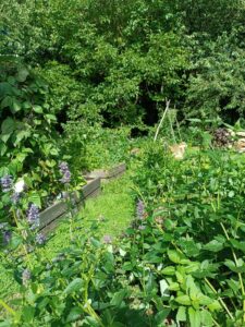 Créez un jardin comestible pour votre restaurant : aromatiques rares, fleurs comestibles, fruits et légumes de saison.