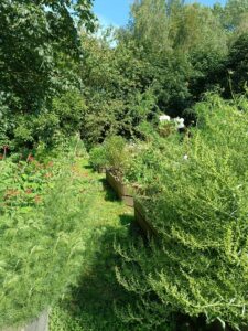 Jardinière bois sur mesure, , jardin comestible, jardinage écologique, biodiversité, aromatiques rares, fleurs comestibles, récoltes de chefs, frais, local de saison, jardin potager pour restaurant, potager du chef, fleurs comestibles restaurant, aromatiques rares pour cuisine, entretien potager restaurant, potager terrasse restaurant, installation jardin comestible cuisine, jardin d’inspiration pour chef cuisinier