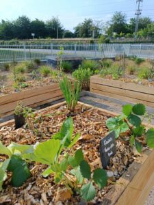 jardinières sur mesure châtaignier, bac potager durable sans traitement, abrication artisanale bac jardin, mobilier jardin bois local, bac potager école / restaurant / collectivité, bac en châtaignier pour extérieur, bois imputrescible écologique