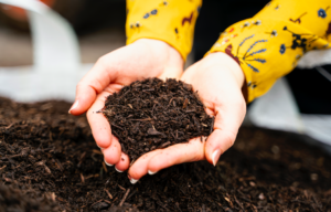 Animation écologique et participative compostage lors d’un événement associatif, favorisant le lien social et la sensibilisation environnementale.