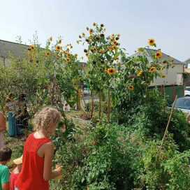 Labotanic jardin comestible scolaire animations jardinage Jardin pédagogique, Jardinage au naturel, Animation biodiversité, Atelier jardinage, éducation à l’environnement Rennes ille-et-vilaine, comment créer un jardin pédagogique à l’école Mayenne, Animation nature pour enfants en milieu scolaire, atelier jardinage
