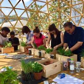 Stand d’animation jardinage lors d’un salon, sensibilisation au potager, aux plantes aromatiques et au compostage. Stand d’animation jardinage lors d’un salon, sensibilisation au potager, aux plantes aromatiques et au compostage.