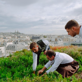 Labotanic jardin restaurants aromatiques et fleur comestibles pour les chefs Jardinière bois sur mesure, jardin potager restaurant, jardin comestible, jardinage écologique, biodiversité, aromatiques rares, fleurs comestibles, récoltes de chefs, frais, local de saison Créez un jardin comestible pour votre restaurant : aromatiques rares, fleurs comestibles, fruits et légumes de saison.